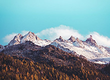 乐鱼登陆网站：开启极致娱乐平台的新篇章